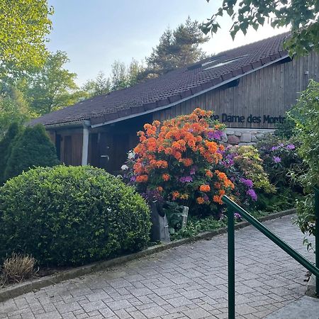 Notre Dame Des Monts Hotel Ban-sur-Meurthe-Clefcy Kültér fotó