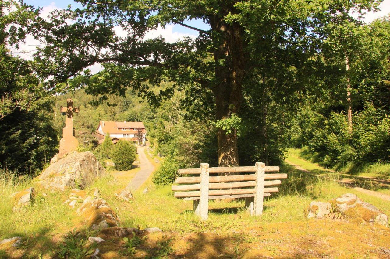 Notre Dame Des Monts Hotel Ban-sur-Meurthe-Clefcy Kültér fotó