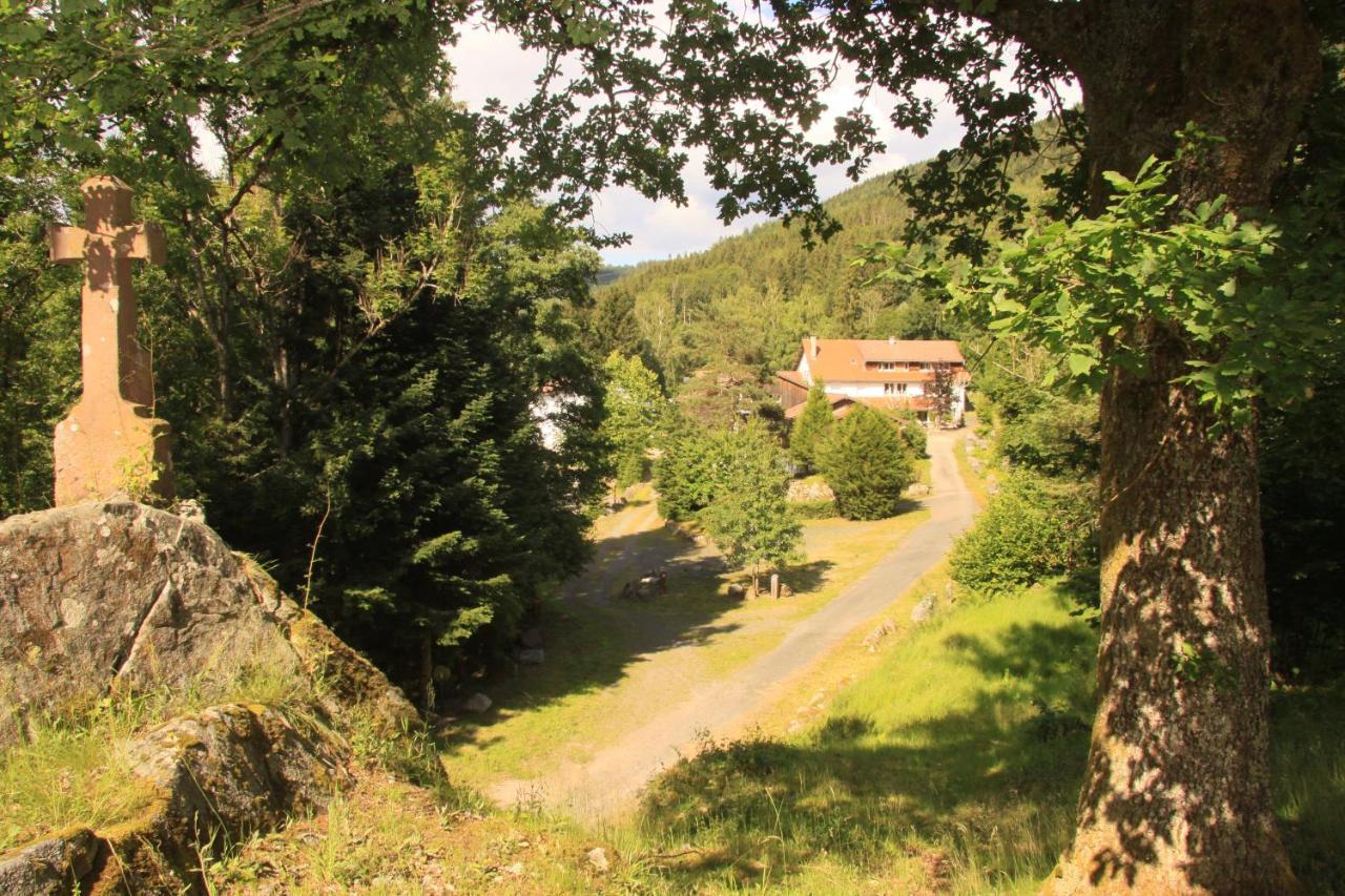 Notre Dame Des Monts Hotel Ban-sur-Meurthe-Clefcy Kültér fotó