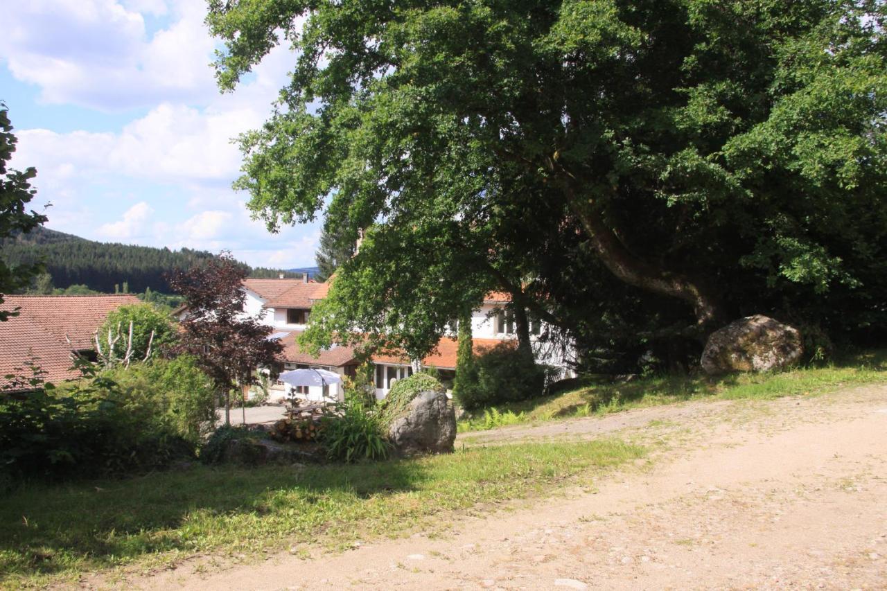 Notre Dame Des Monts Hotel Ban-sur-Meurthe-Clefcy Kültér fotó