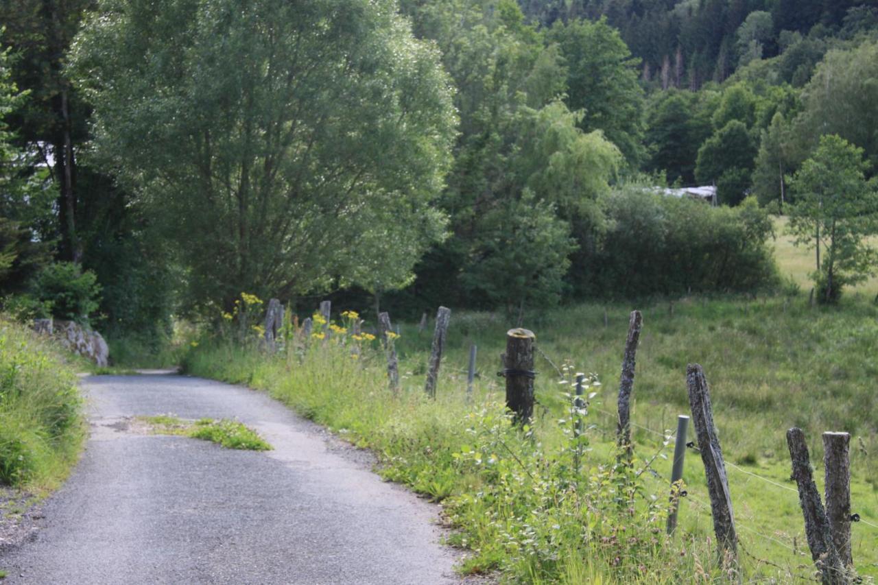Notre Dame Des Monts Hotel Ban-sur-Meurthe-Clefcy Kültér fotó
