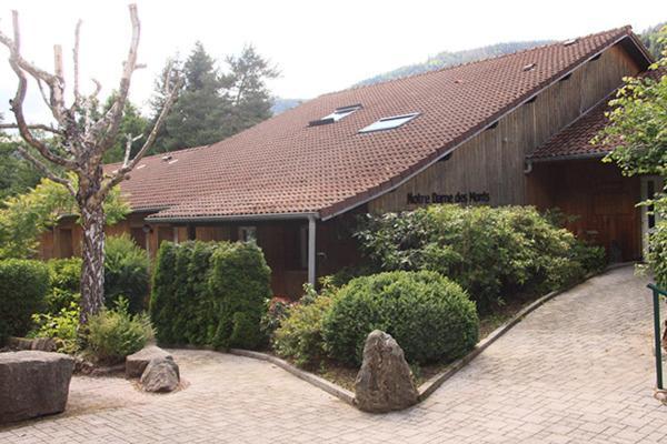Notre Dame Des Monts Hotel Ban-sur-Meurthe-Clefcy Kültér fotó