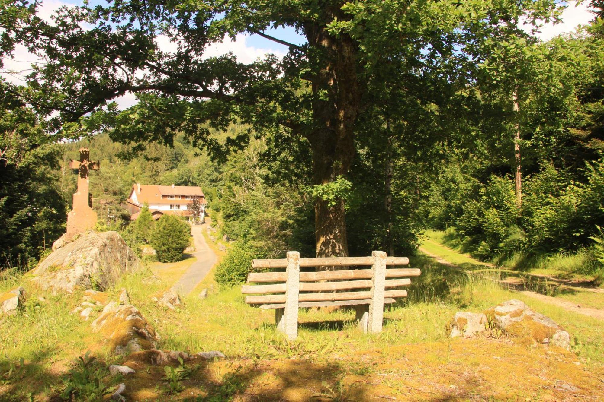 Notre Dame Des Monts Hotel Ban-sur-Meurthe-Clefcy Kültér fotó